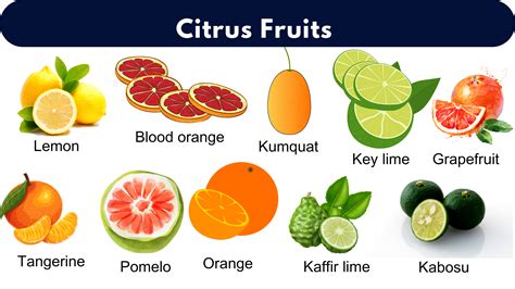 list of citrus|List of citrus fruits .